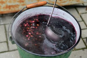 470524396_1610951883128274_1847941836933132765_n