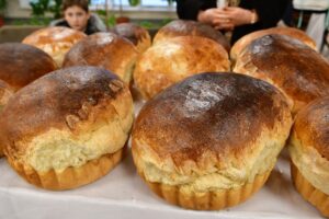 470543288_1610952276461568_1642215701187661843_n